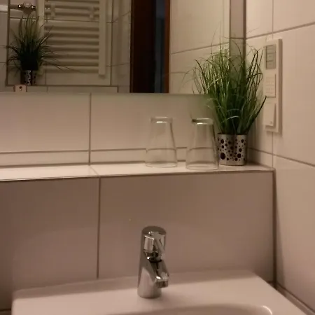 Ole's Bergsuite דירה