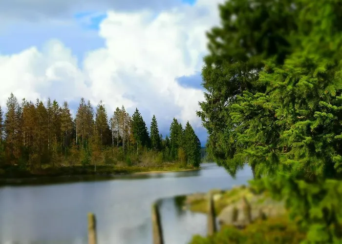 Ole's Bergsuite Браунлаге